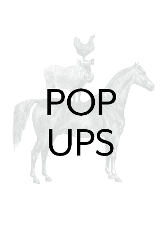 about - POP UPS
